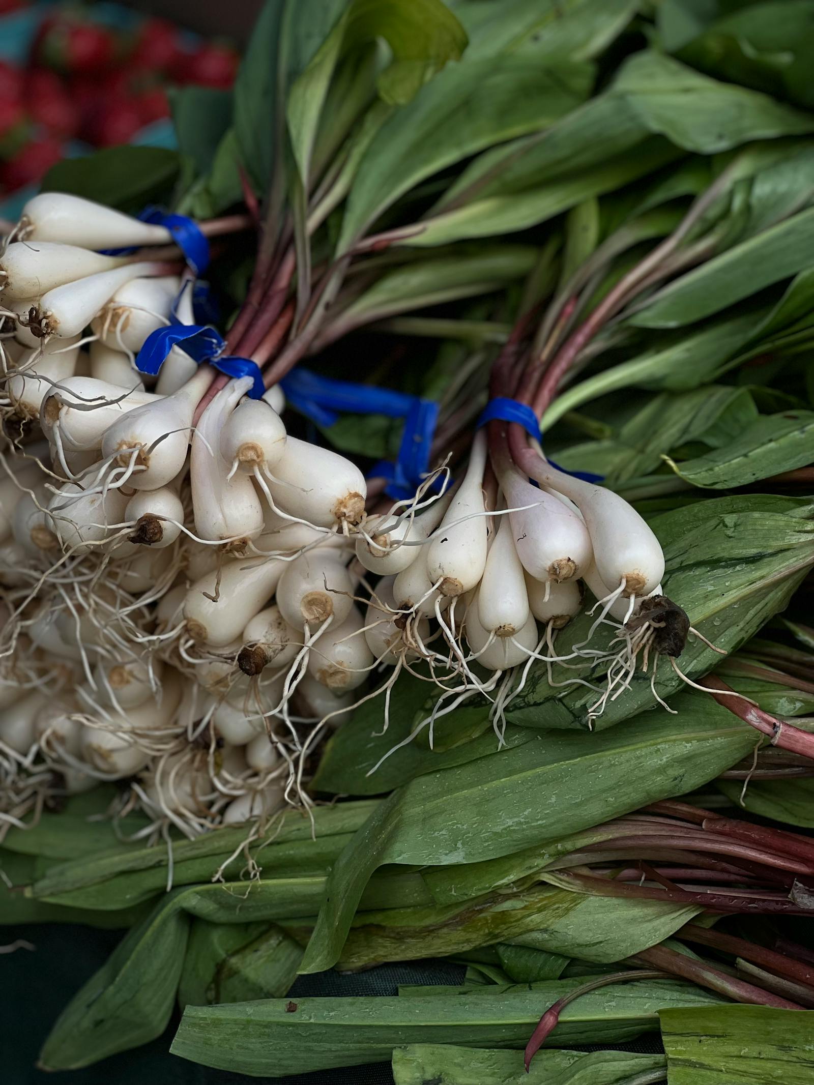 Ramps: The Wild Spring Treasure You'll Only Find at Farmers Markets